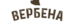 вербена